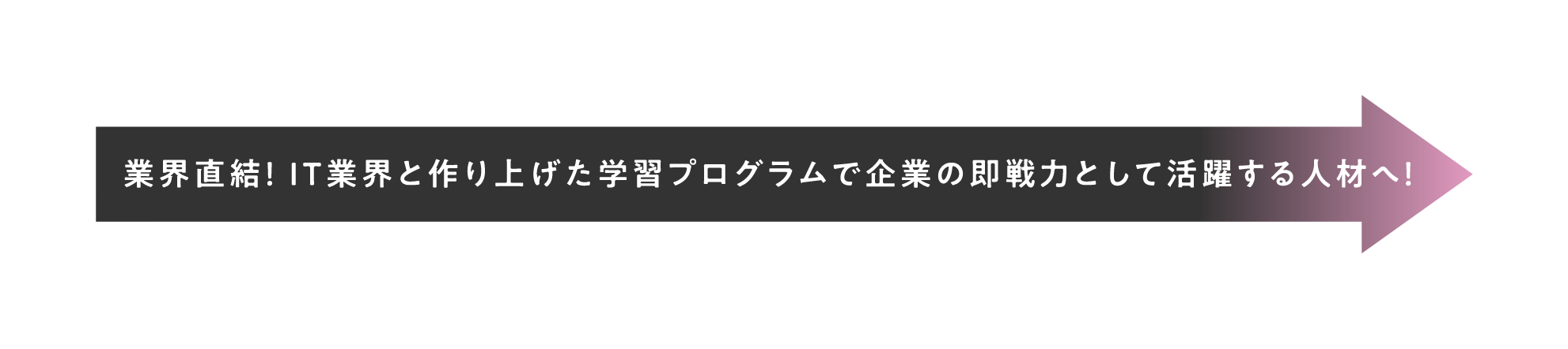 業界直結！ IT業界と作り上げた学習プログラムで企業の即戦力として活躍する人材へ!