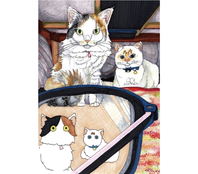 写真