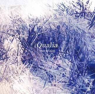 Qualia